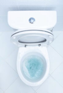 Toilet being flushed