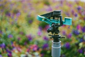 Backyard sprinkler irrigation system