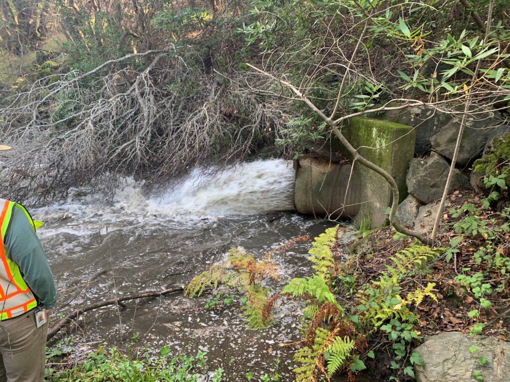 Stafford Dam Safety Program North Marin Water District